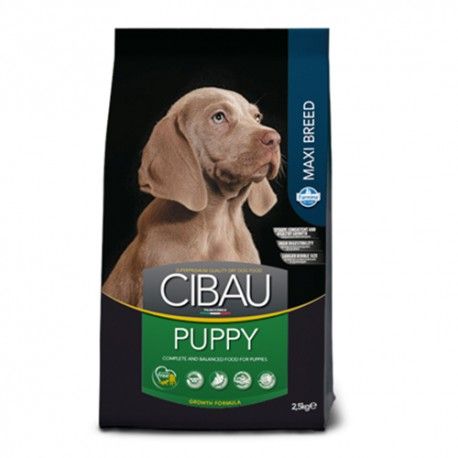 CIBAU PUPPY