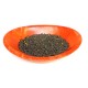 TÉ CANELA