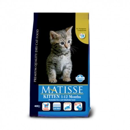 MATISSE KITTEN