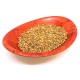 CILANTRO GRANO