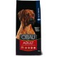 CIBAU-ADULT