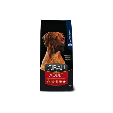 CIBAU-ADULT